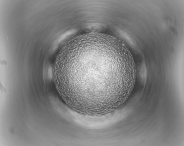 X0000091180042200708091230