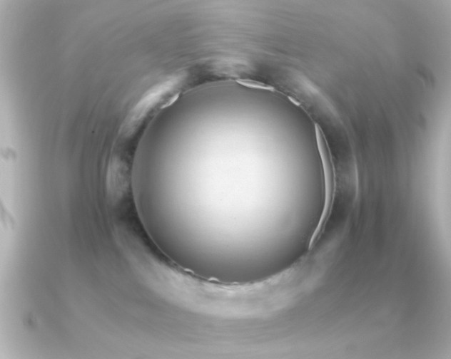 X0000091180043200708091230