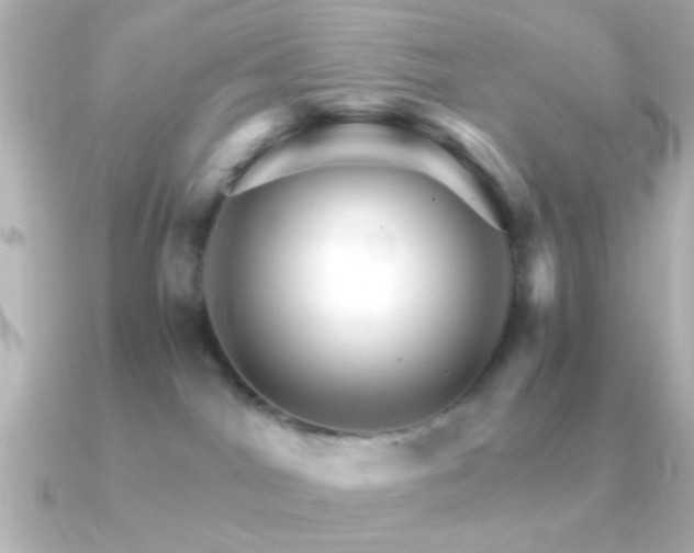 X0000091180044200708091230