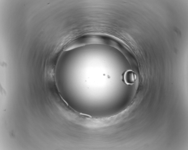 X0000091180045200708091230