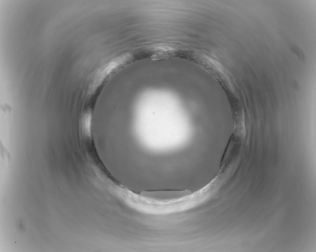 X0000091180047200708091230