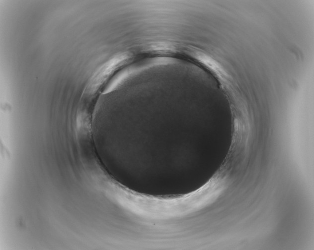 X0000091180048200708091230