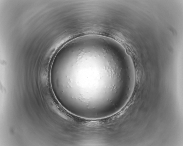 X0000091180050200708091229