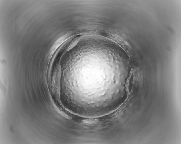X0000091180051200708091229