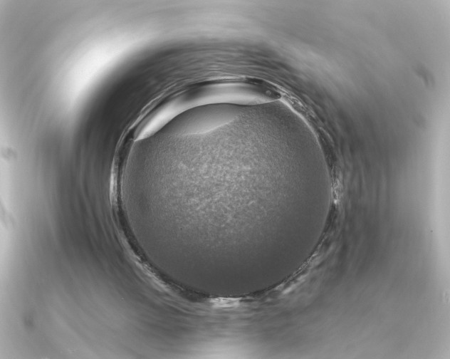 X0000091180052200708091229