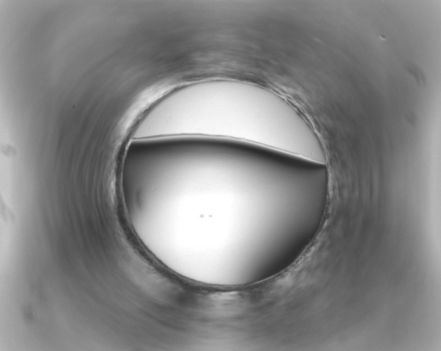 X0000091180054200708091229