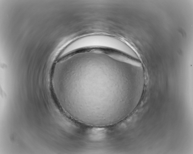 X0000091180055200708091229