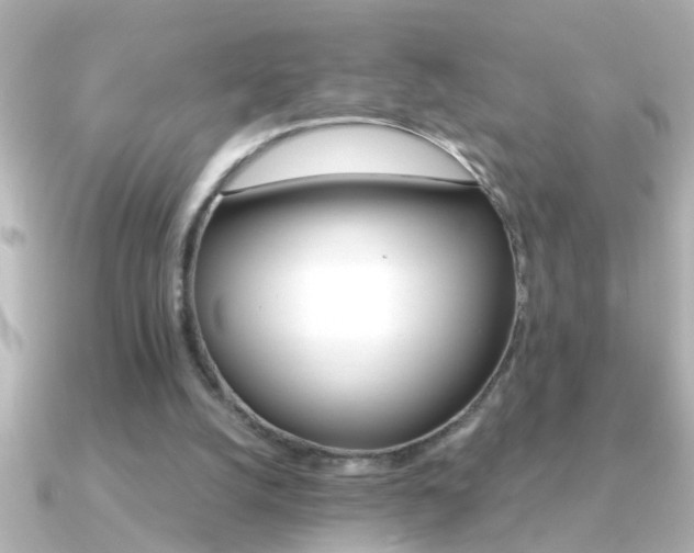 X0000091180056200708091229