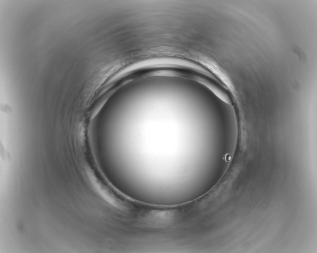 X0000091180057200708091229