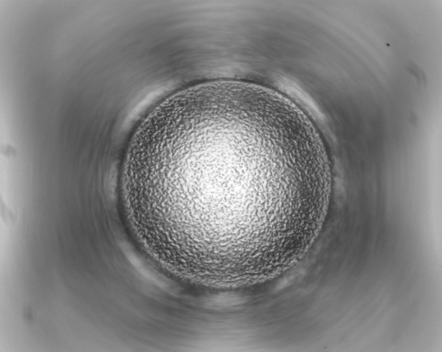 X0000091180058200708091229