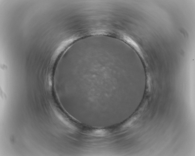 X0000091180059200708091229