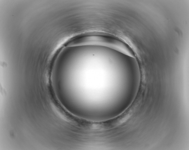 X0000091180060200708091229