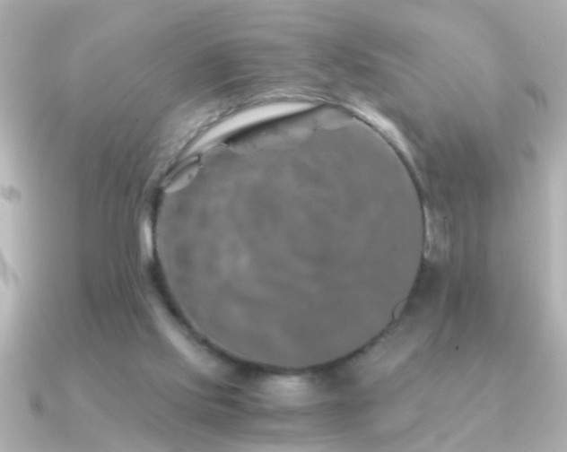 X0000091180061200708091229