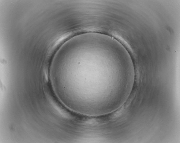 X0000091180062200708091229