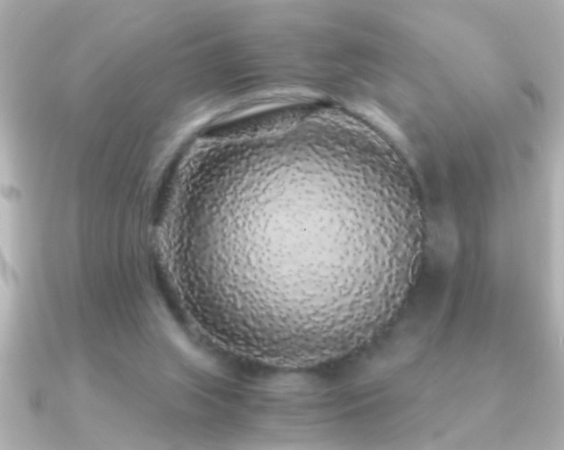 X0000091180063200708091229