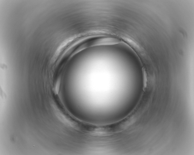 X0000091180064200708091229