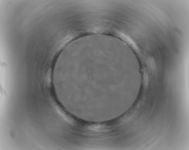 X0000091180065200708091229