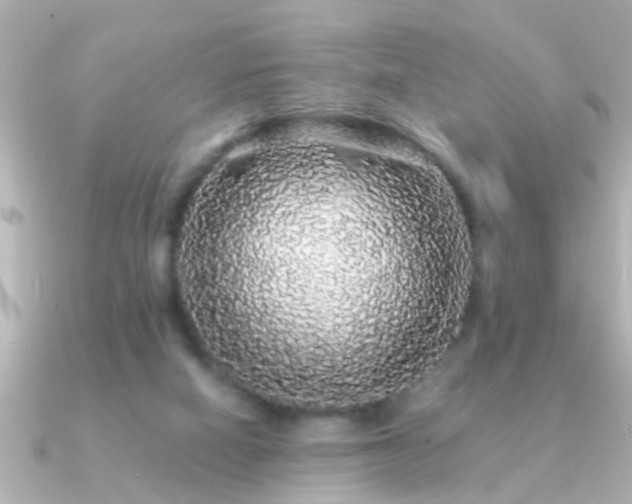 X0000091180066200708091229