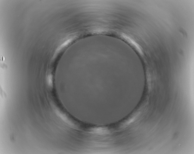 X0000091180067200708091229