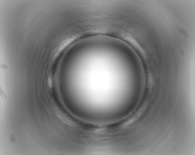 X0000091180068200708091229