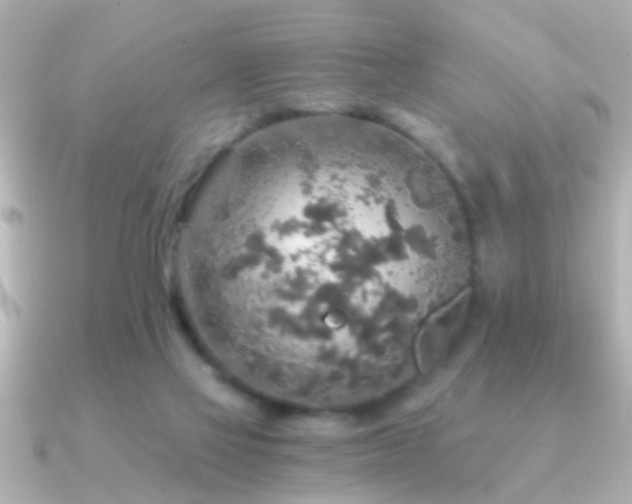 X0000091180069200708091229