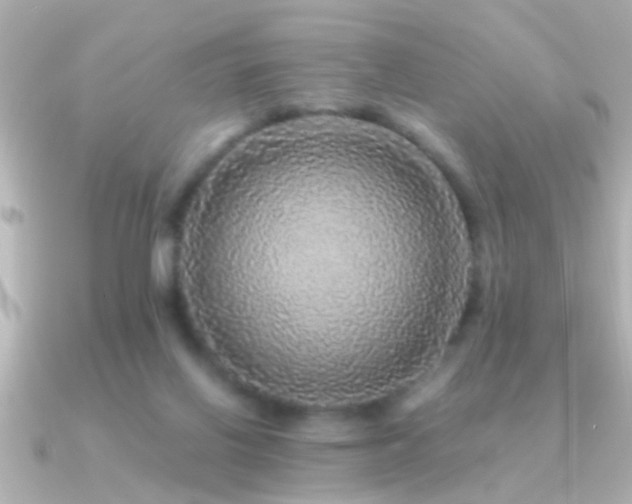 X0000091180070200708091229