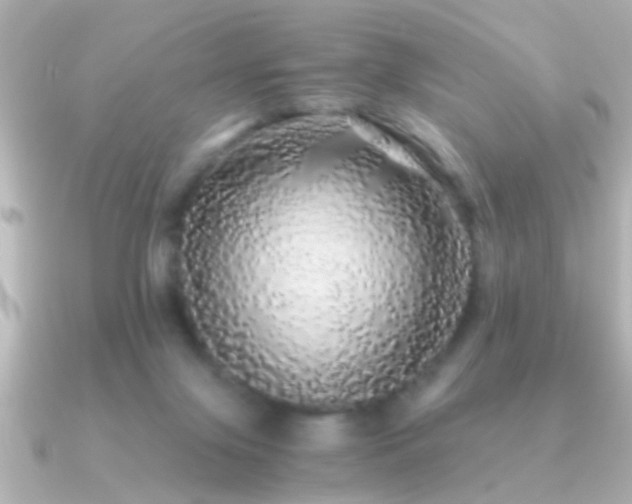 X0000091180071200708091229