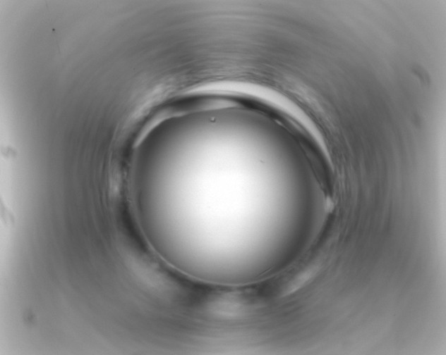 X0000091180072200708091229