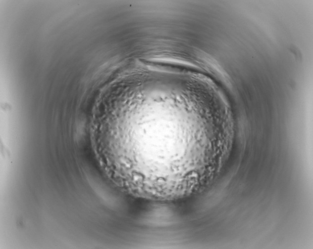 X0000091180073200708091229