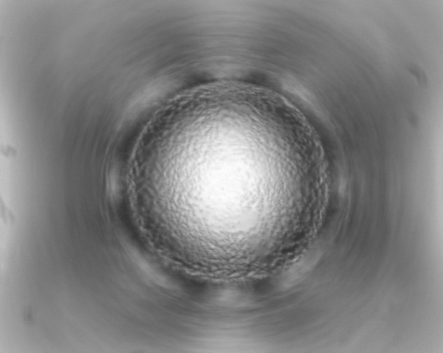 X0000091180074200708091229