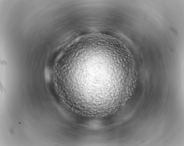 X0000091180075200708091229