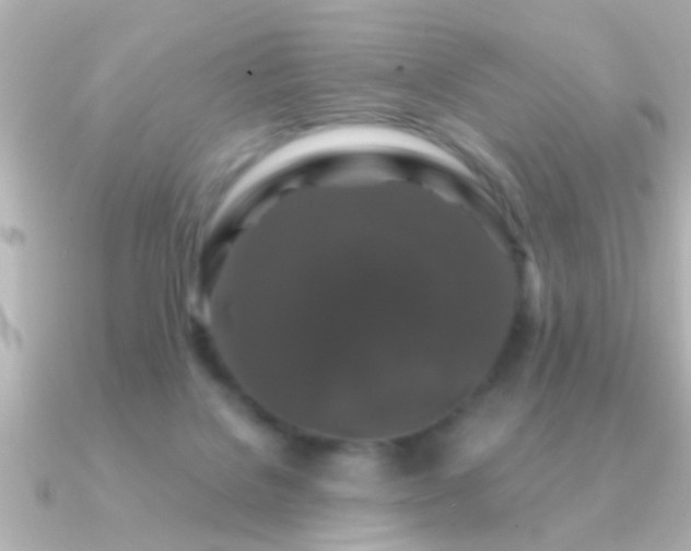 X0000091180076200708091229