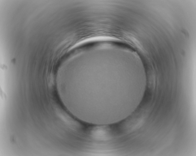 X0000091180077200708091229