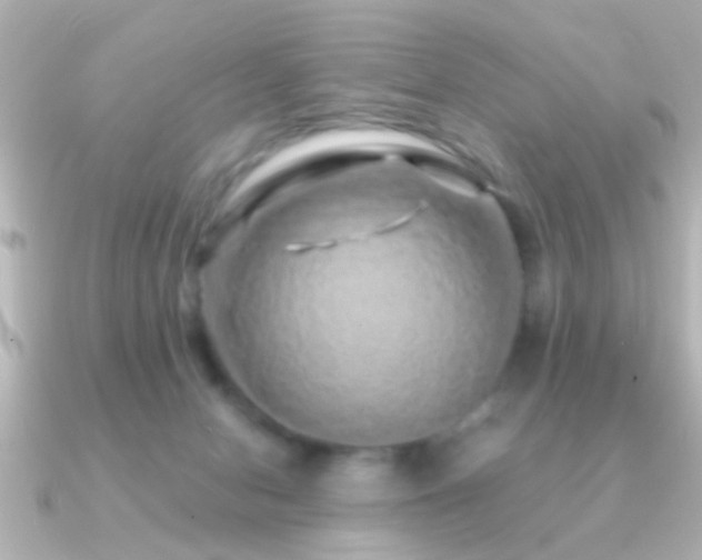 X0000091180078200708091229