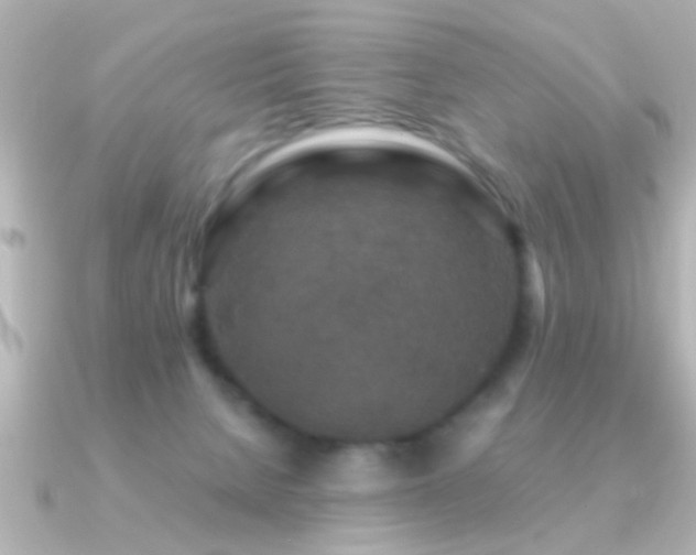 X0000091180080200708091229