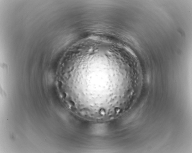 X0000091180081200708091229