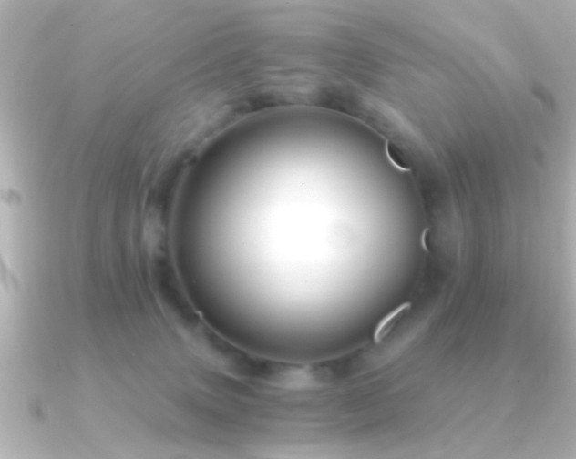 X0000091180083200708091229