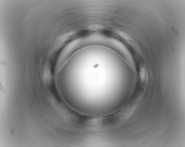 X0000091180084200708091229