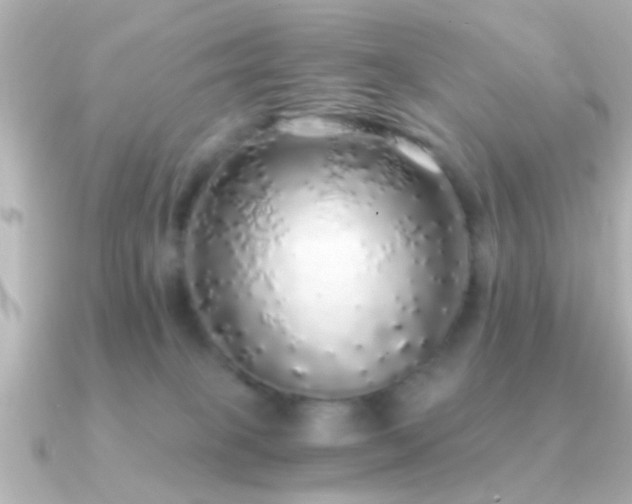 X0000091180085200708091229