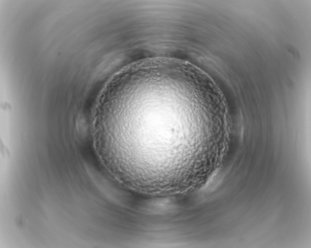 X0000091180086200708091229