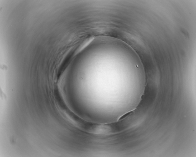 X0000091180087200708091229