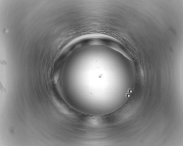 X0000091180088200708091229