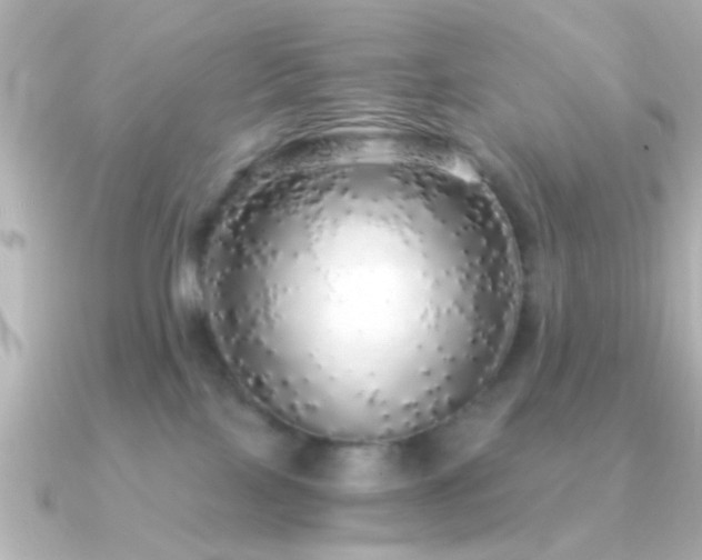 X0000091180089200708091229