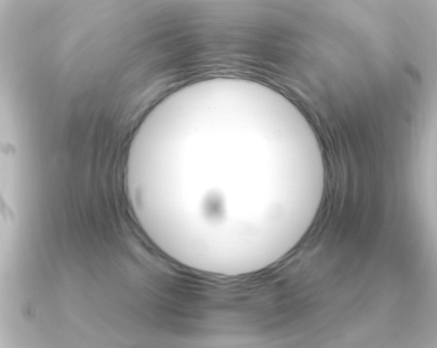 X0000091180092200708091230