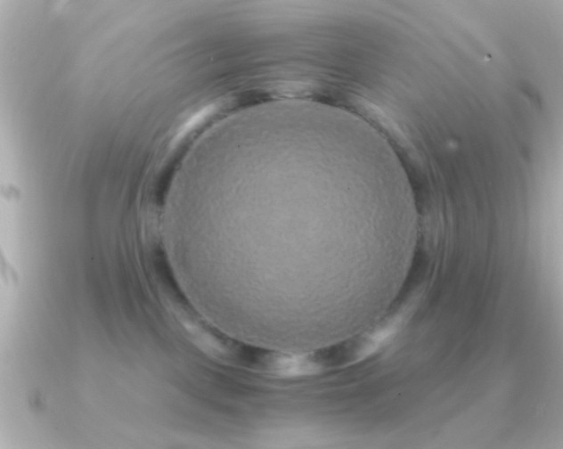 X0000091180093200708091230