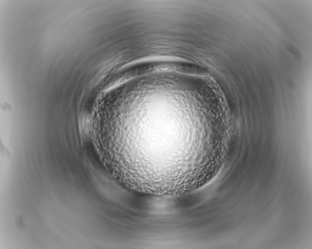 X0000091180094200708091230