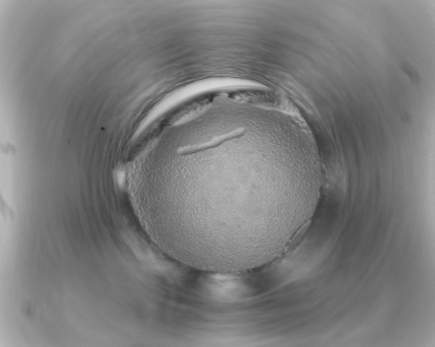 X0000091180095200708091230