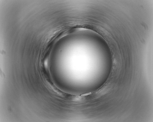 X0000091180096200708091230
