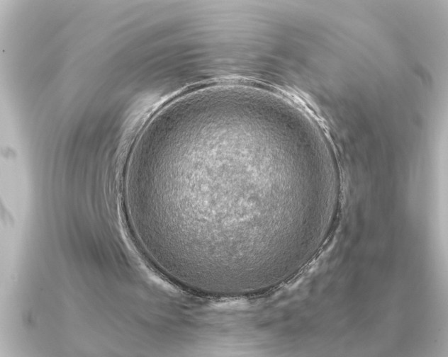 X0000091180097200708091229