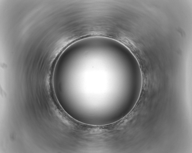X0000091180098200708091229